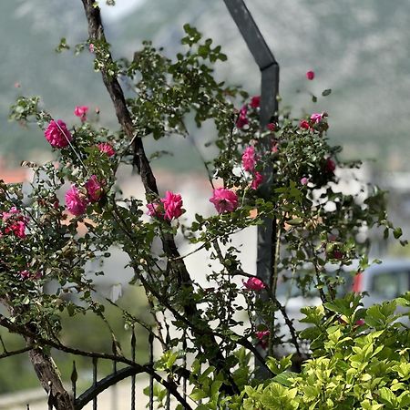 Ms Apartment Mostar Zewnętrze zdjęcie